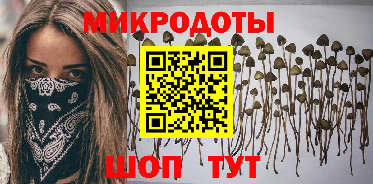 Александров  Псилоцибиновые грибы Magic Shrooms  наркотики  Вход с VPN 